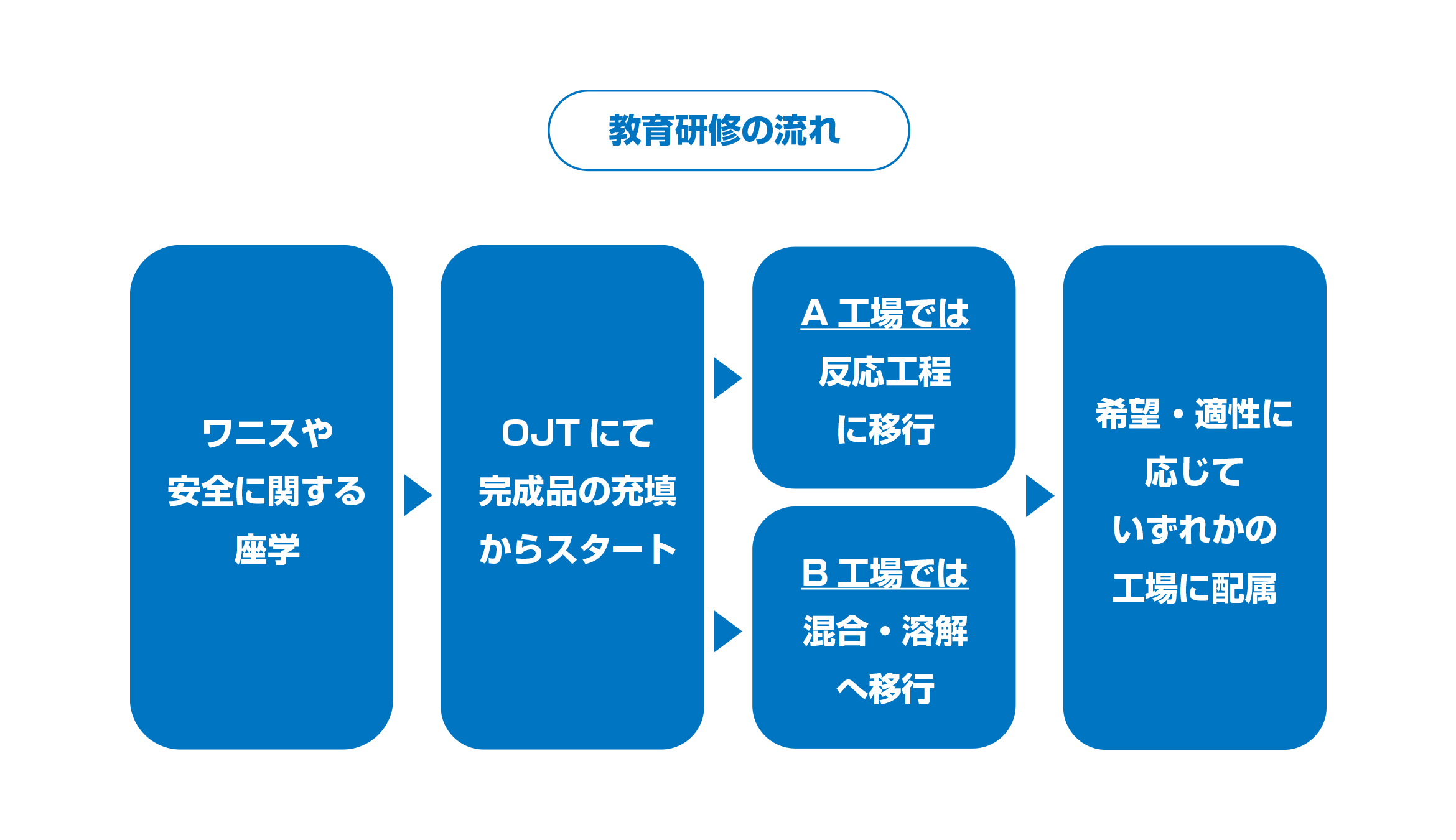 教育研修について